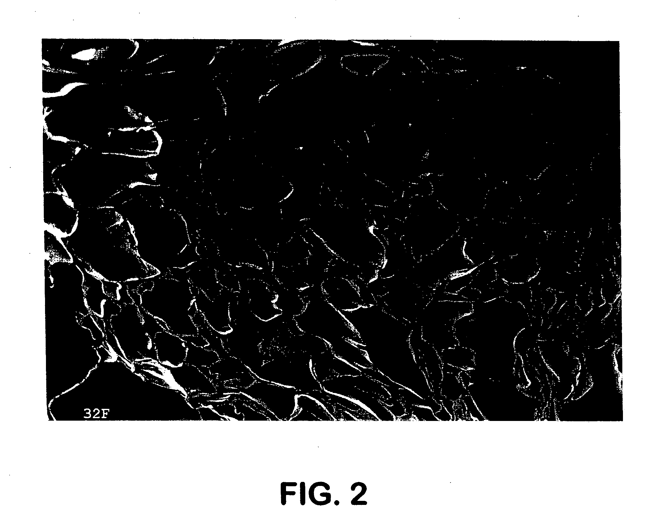 Low-density, open-cell, soft, flexible, thermoplastic, absorbent foam and method of making foam