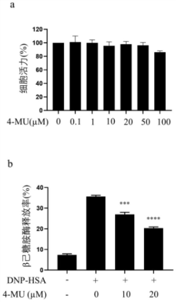 Application of 4-methylumbelliferone in preparation of anti-allergic drugs