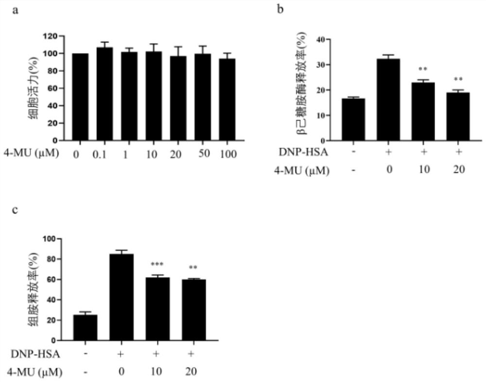 Application of 4-methylumbelliferone in preparation of anti-allergic drugs