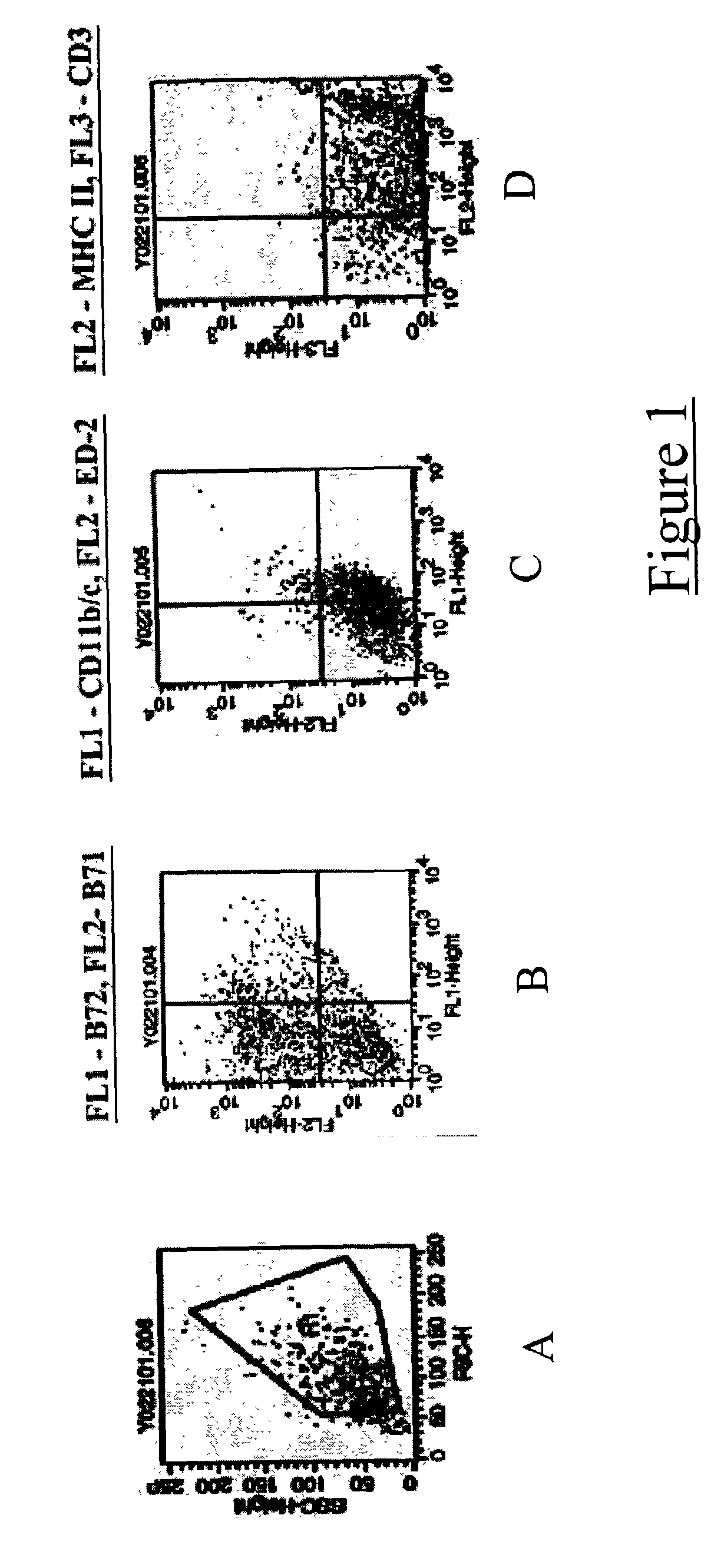 Intratumoral delivery of dendritic cells