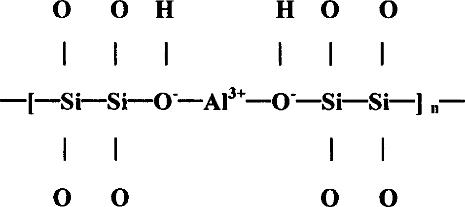 Process for preparing wet type paint coagulating agent and its application