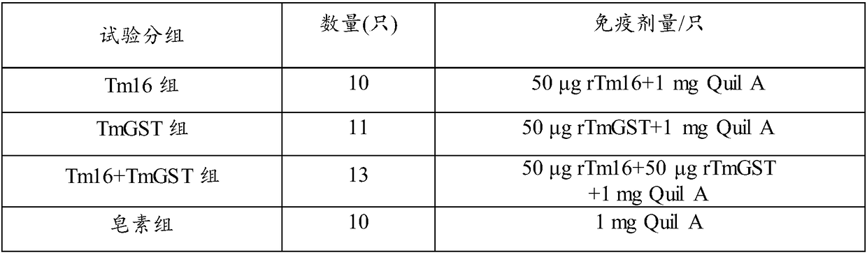 Immunoprotection combined protein and immune vaccine thereof