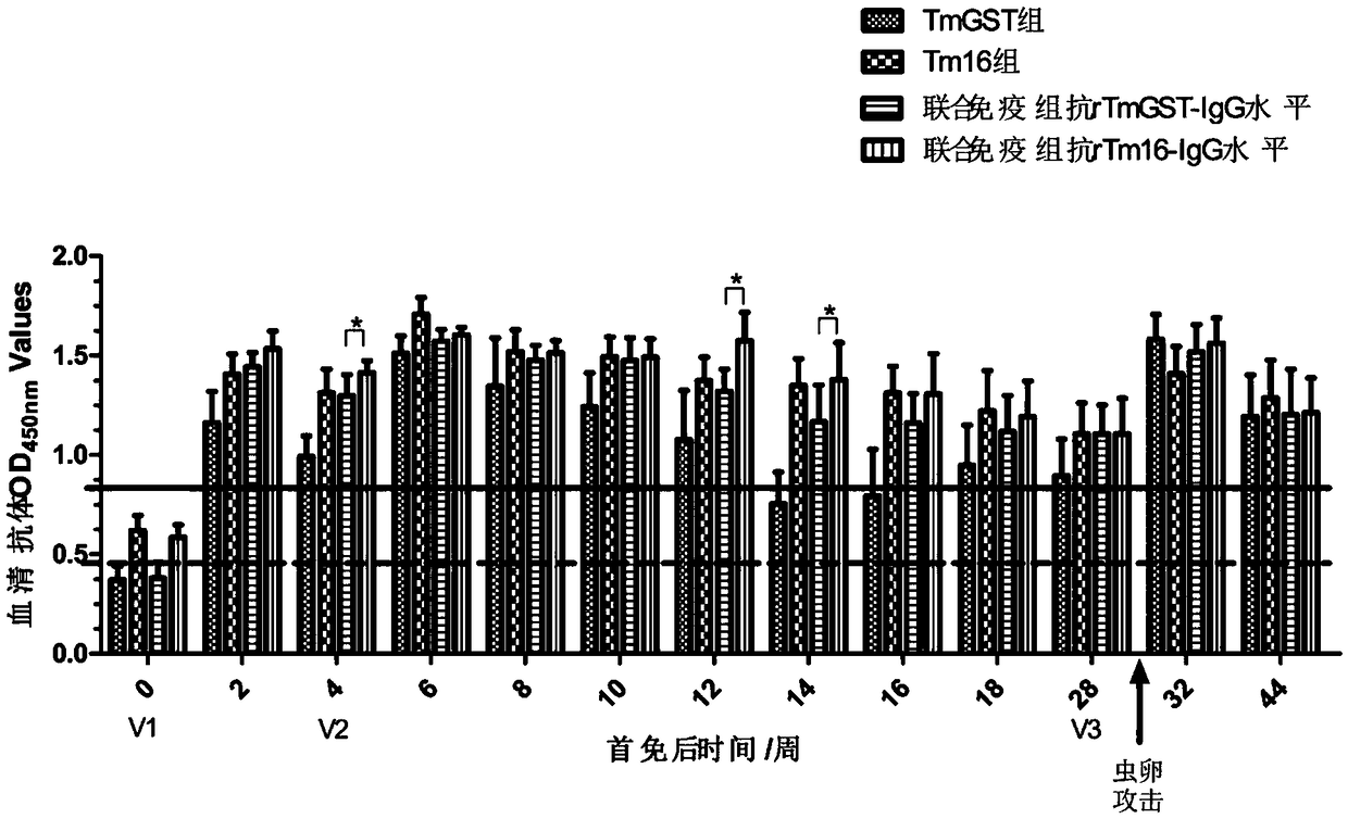 Immunoprotection combined protein and immune vaccine thereof