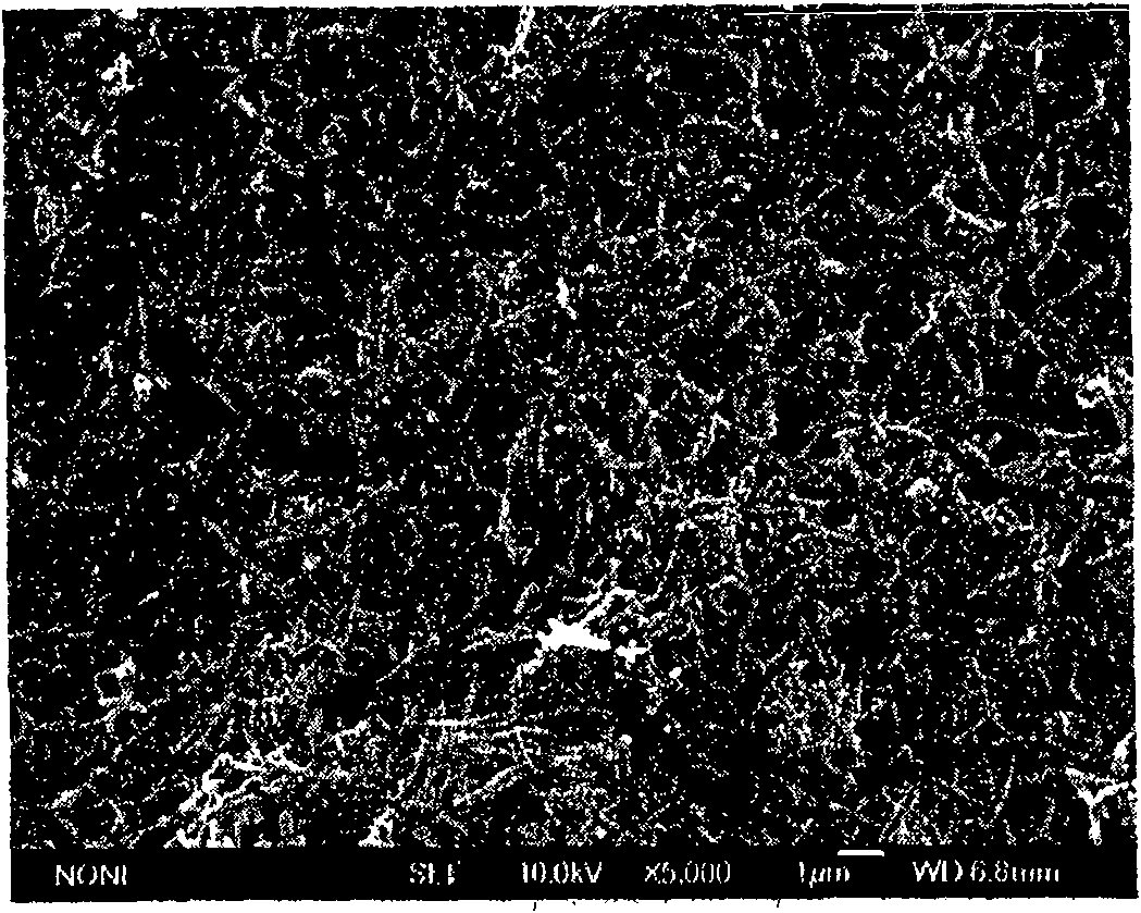 Composite electrode of high purity polyaniline nanometer line and method for preparing the same