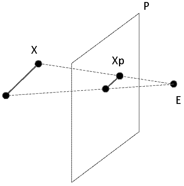 Visual simulation method and device