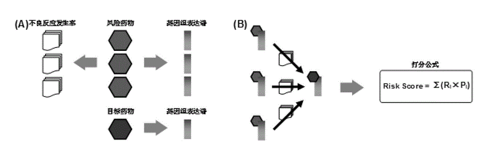 Method for detecting medicine adverse reaction with genome expression profiling