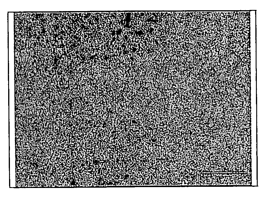 Method of making a fine grained cemented carbide