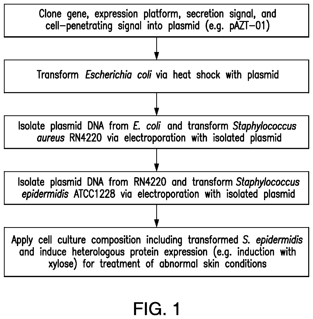 Therapeutic treatment of skin disease with recombinant commensal skin microorganisms