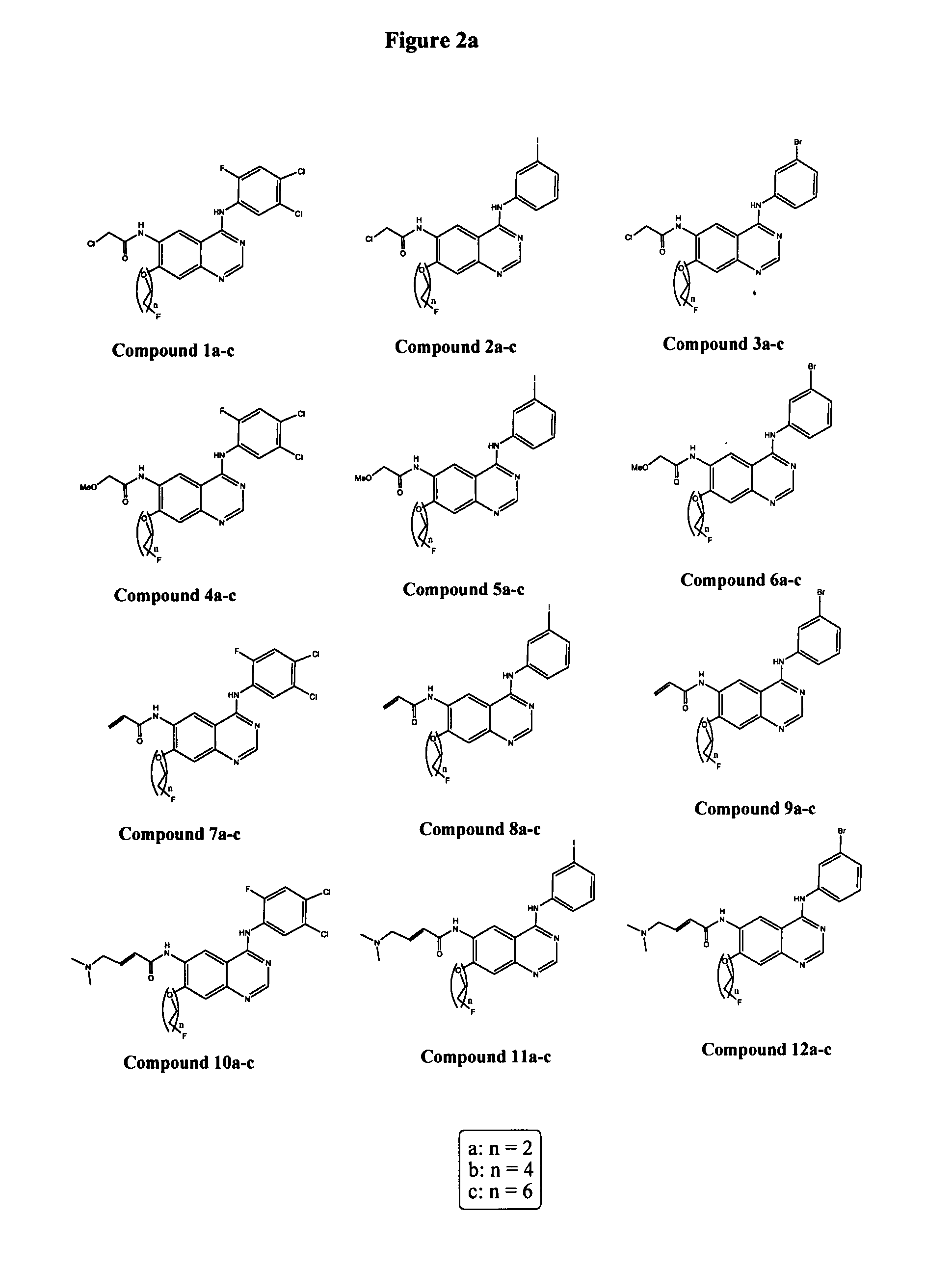 Polyalkylene glycol derivatives of inhibitors of epidermal growth factor receptor tyrosine kinase