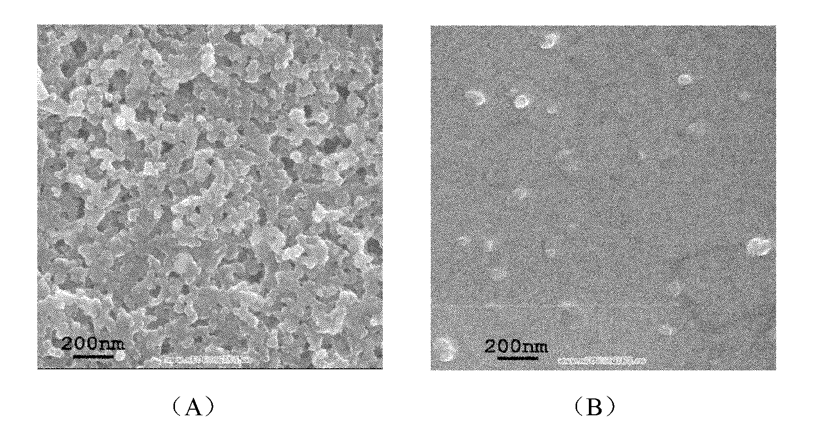 Preparation method and application of water-soluble carbon nano particles