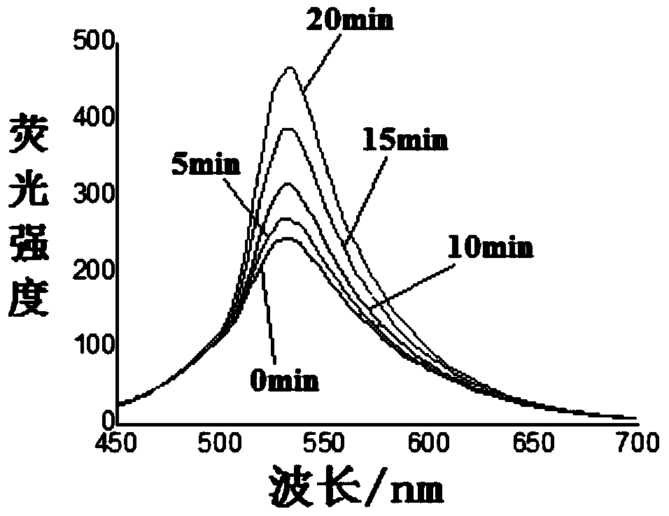 A kind of medicine for treating tumor and preparation method thereof