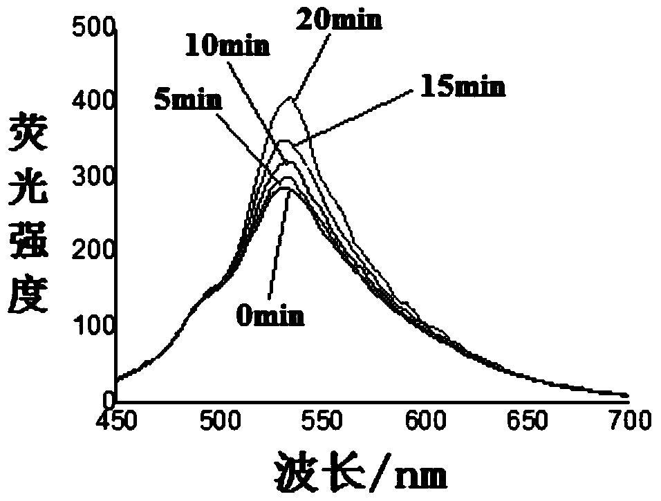 A kind of medicine for treating tumor and preparation method thereof