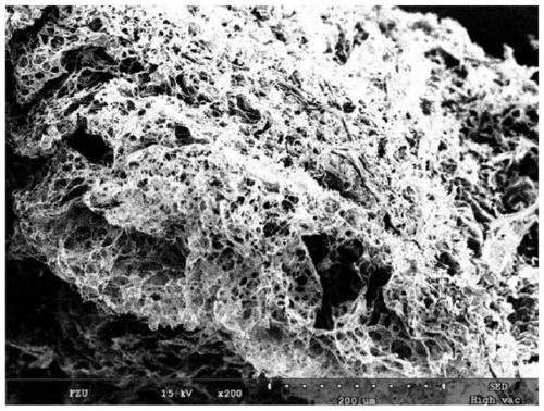 A kind of porous heavy metal ion adsorbent and preparation method thereof