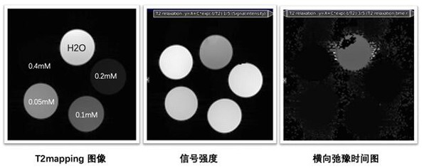 A Method for Simultaneous T1-weighted Imaging Using RareVTR Sequences for Magnetic Resonance Dual-signal Nanoprobes