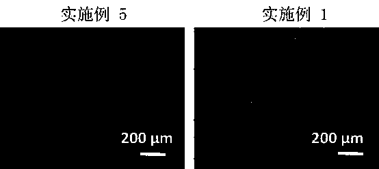 Preparation method of spongy macroporous polyvinyl alcohol hydrogel