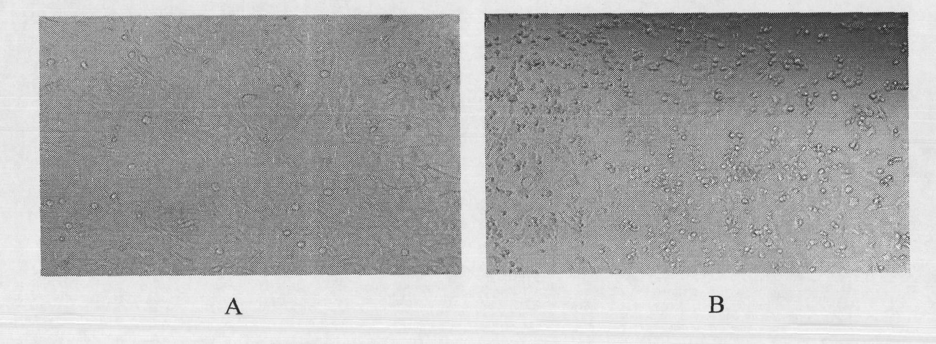 Human enterovirus 71 type specific polypeptide and application thereof