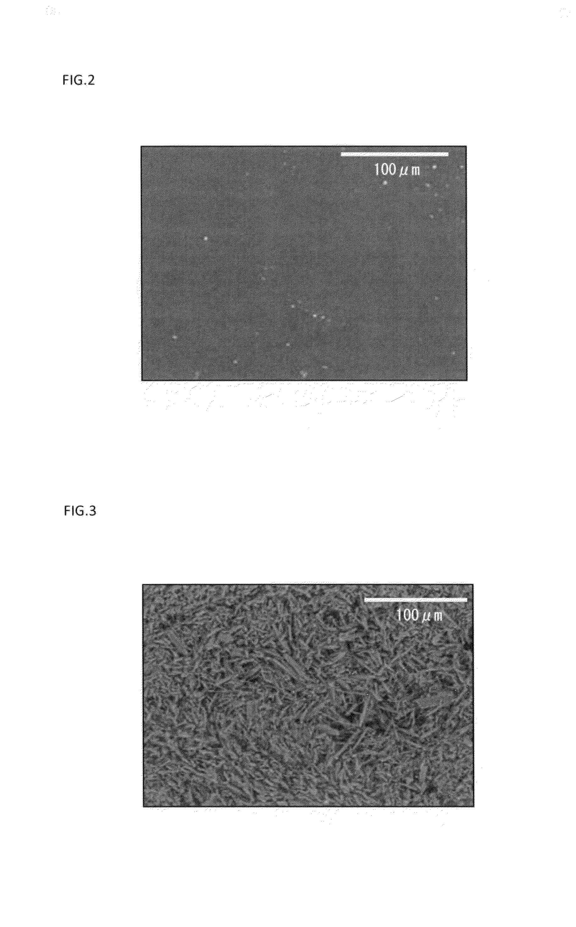 Patch and method for producing the same