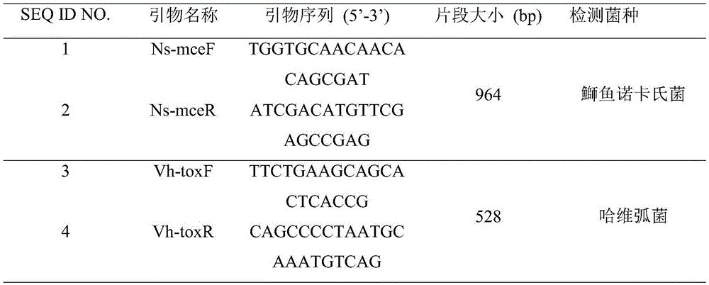 Detection primer group, detection kit, and detection method used for simultaneous detection of three pathogenic bacteria of marine fishes