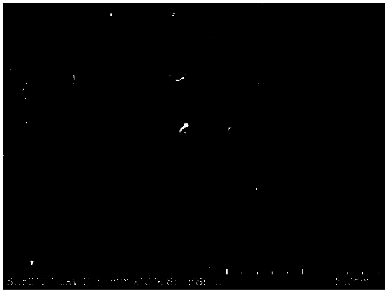 Preparation method of 2D/2D g-C3N4/ZnIn2S4 heterojunction composite photocatalyst