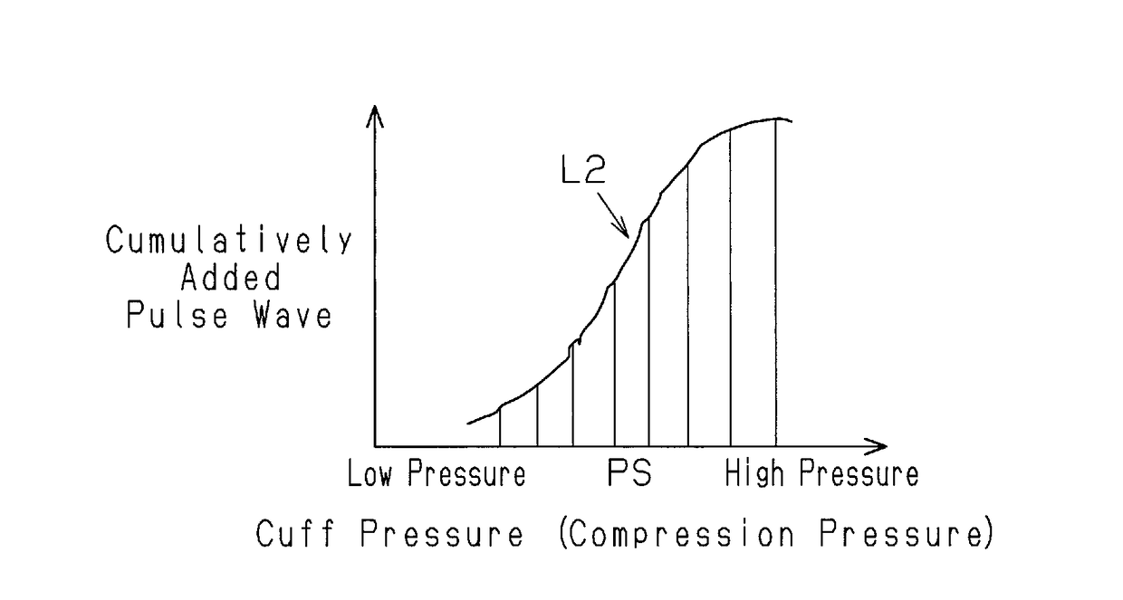 Circulatory dynamics measurement apparatus