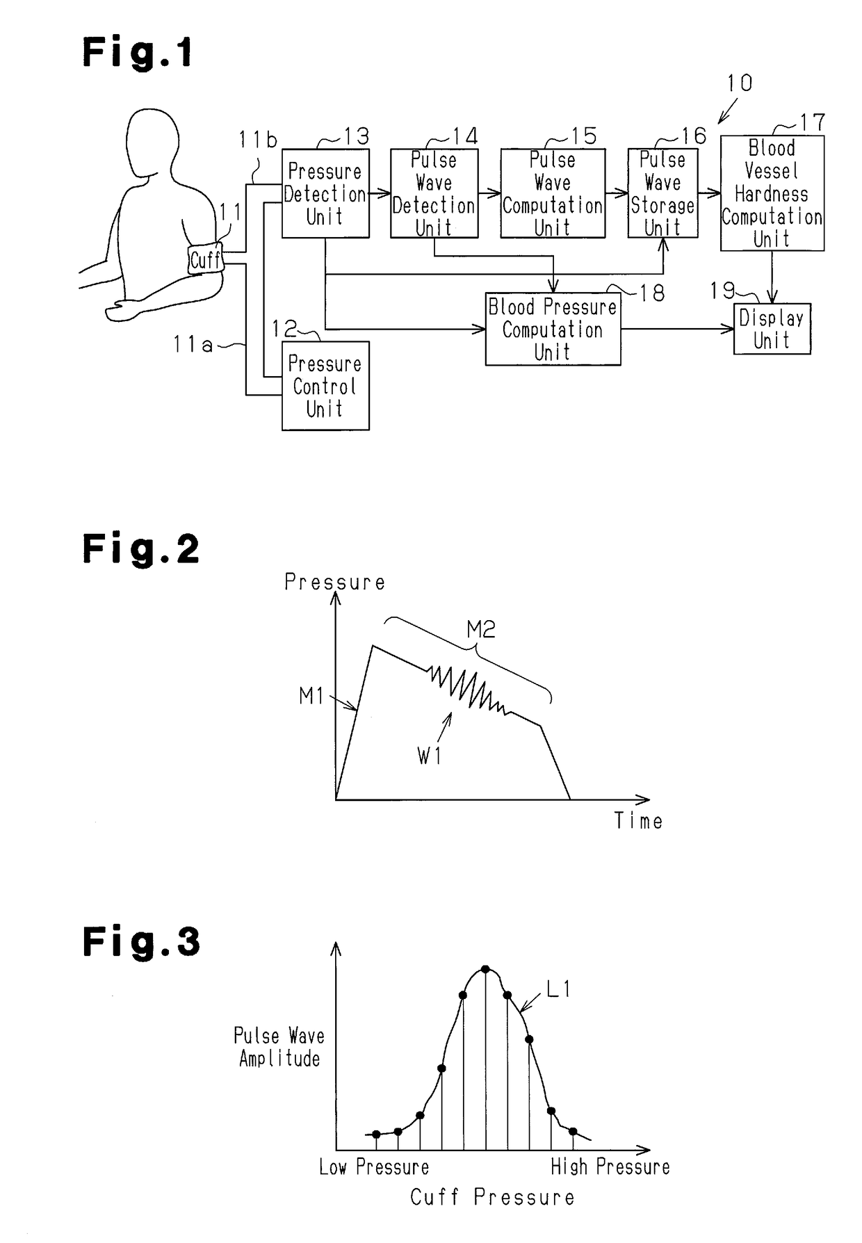 Circulatory dynamics measurement apparatus