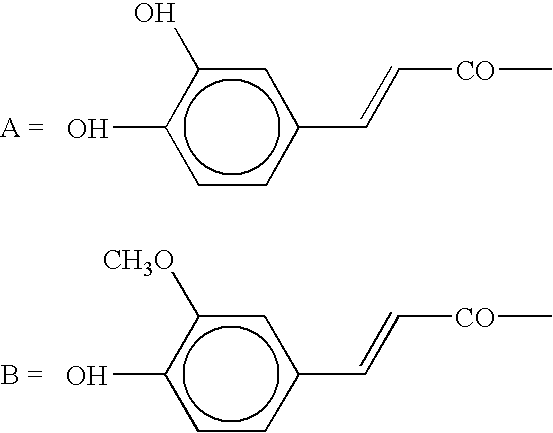 Extracts obtained from cell line cultures from plants belonging to the Oleaceae family (e.g. Syringa vulgaris), their preparation and use