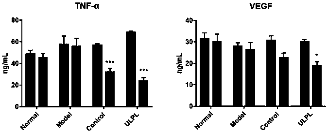 Compound ulva extract with auxiliary anti-tumor effect and preparation technology of compound ulva extract