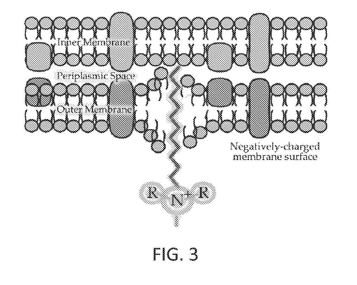 Anti-infective functionalized surfaces and methods of making same