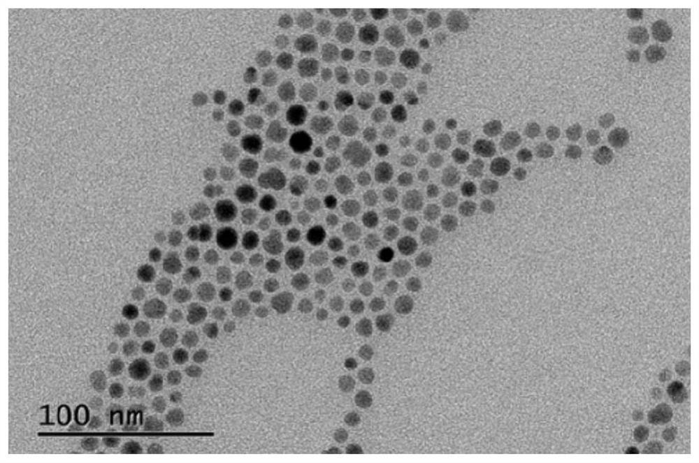 Electromagnetic shielding fabric based on ferroferric oxide/polypyrrole, production method and application