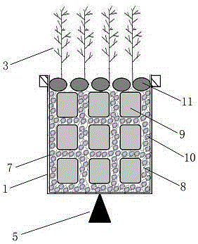 Self-floating type ecological floating bed capable of being used for water body self-purification