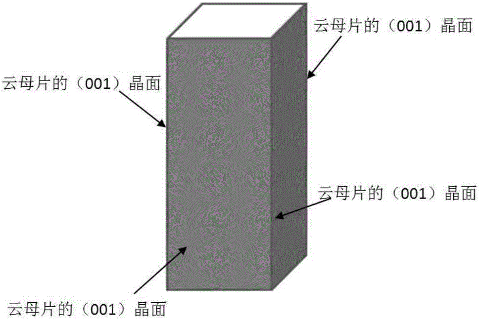 Preparation method for collagen nanowire array layer cuvette