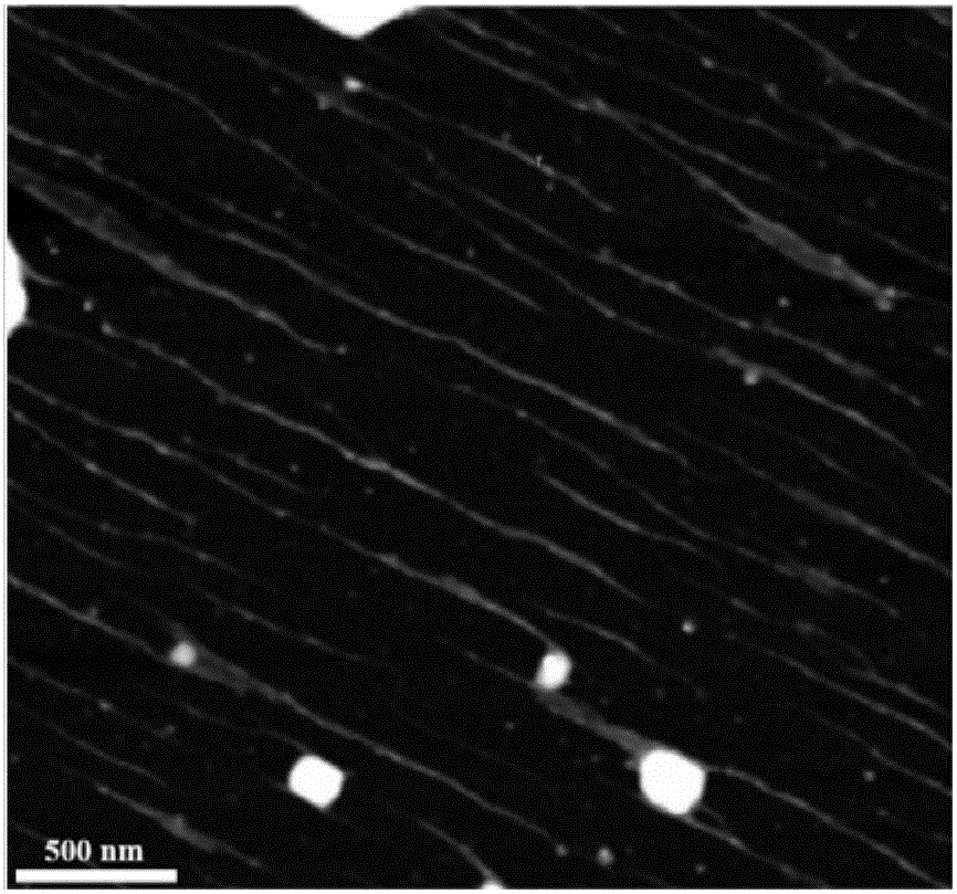 Preparation method for collagen nanowire array layer cuvette