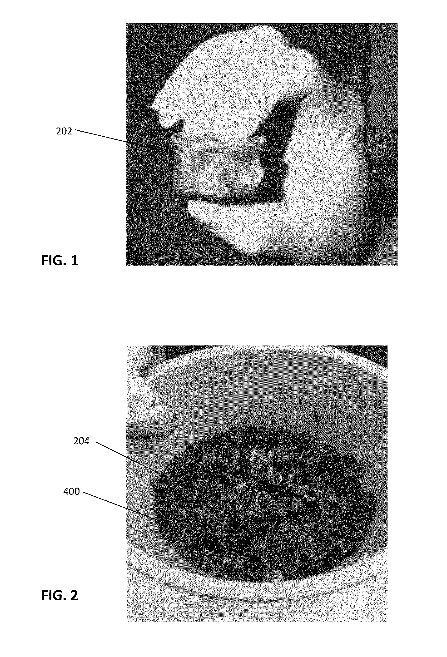 Acellular biologic composition and method of manufacture