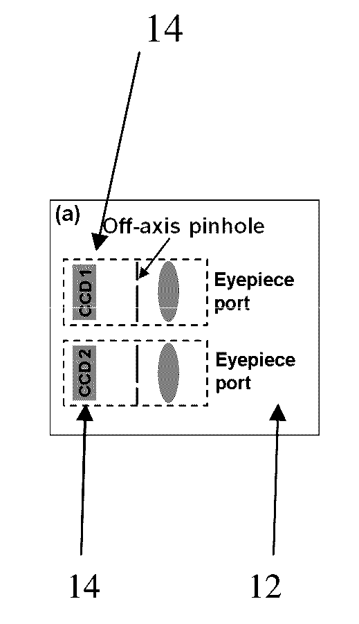 Imaging Assemblies With Rapid Sample Auto-Focusing