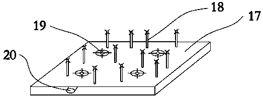 Greenhouse plant humidity control equipment