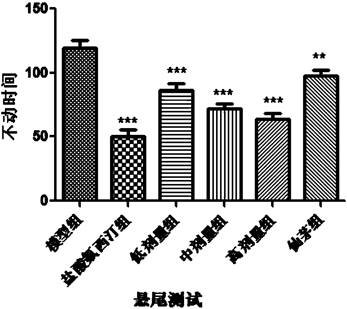 Application of common curculigo rhizome and epimedium herb decoction to preparation of antidepressive drugs