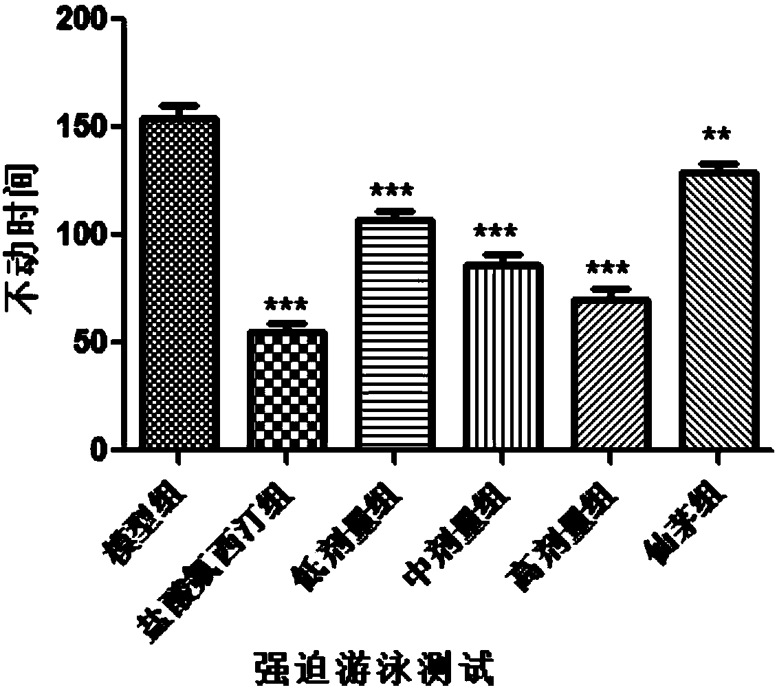 Application of common curculigo rhizome and epimedium herb decoction to preparation of antidepressive drugs