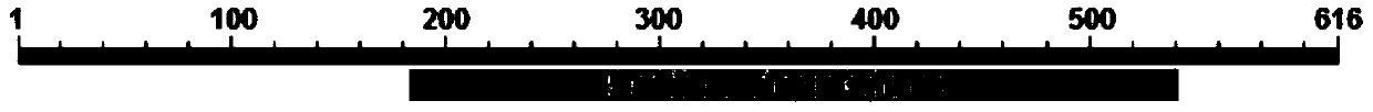 A Botrytis cinerea gene bcals1 related to pathogenicity and its application