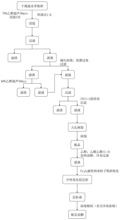 Method for extracting and refining ecdysterone