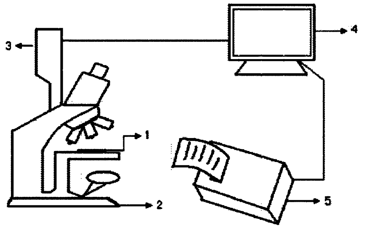 Automatic measurement and classification method and system of steel dimple image depth uniformity