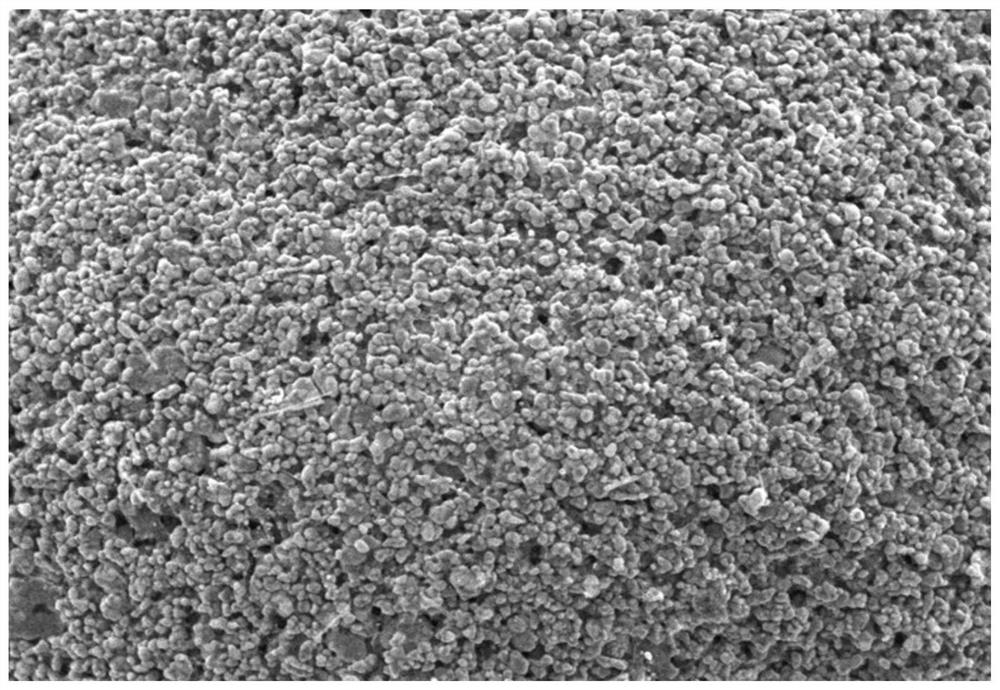 Ternary positive electrode slurry and preparation method thereof