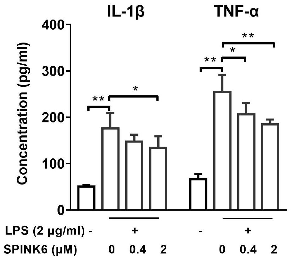 Application of SPINK6 as marker for detecting AIDS