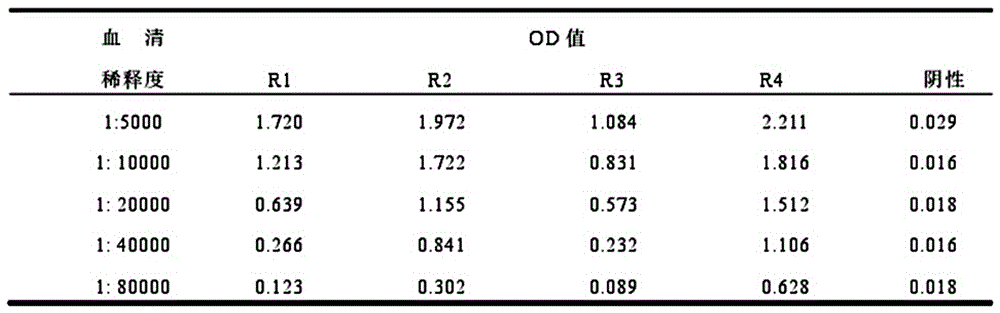 Doxycycline broad-spectrum monoclonal antibody and preparation technology