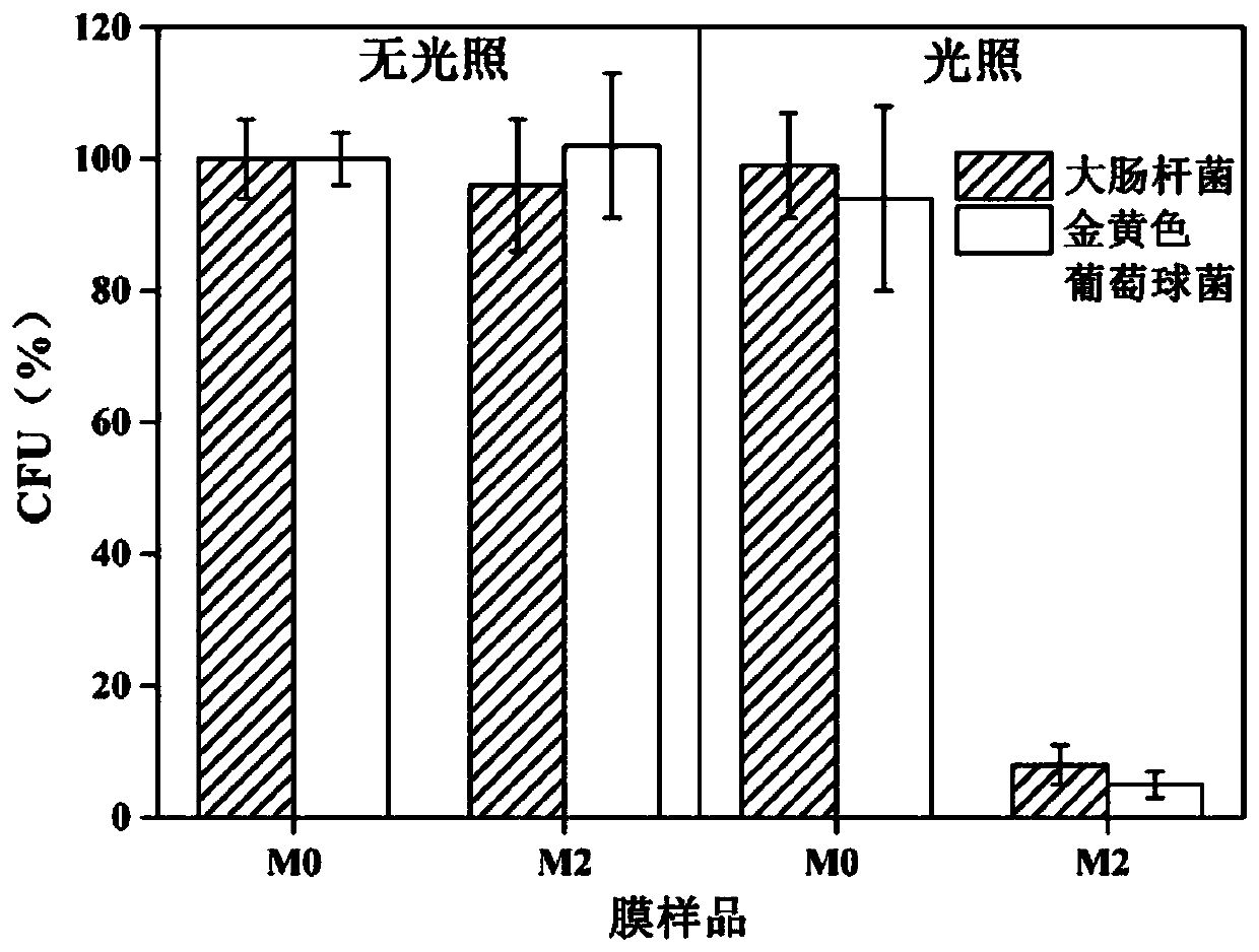 PVDF ultrafiltration membrane modified with visible light photocatalyst and preparation method and application thereof