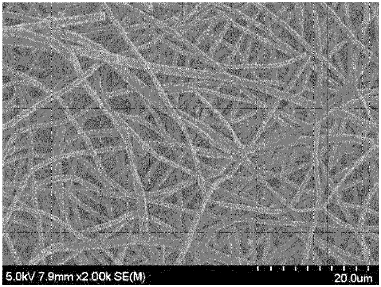 Carbon-based fiber sheet and lithium-sulfur battery including same