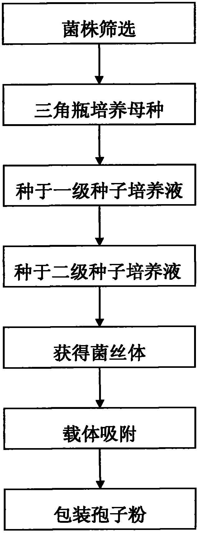 Soil-phosphorus biological-activating fungi inoculant and preparation method thereof