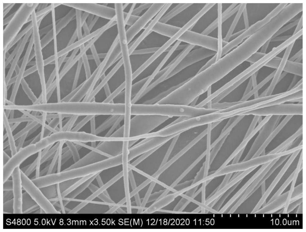 Nerve conduit loaded with gradient density particles and preparation method