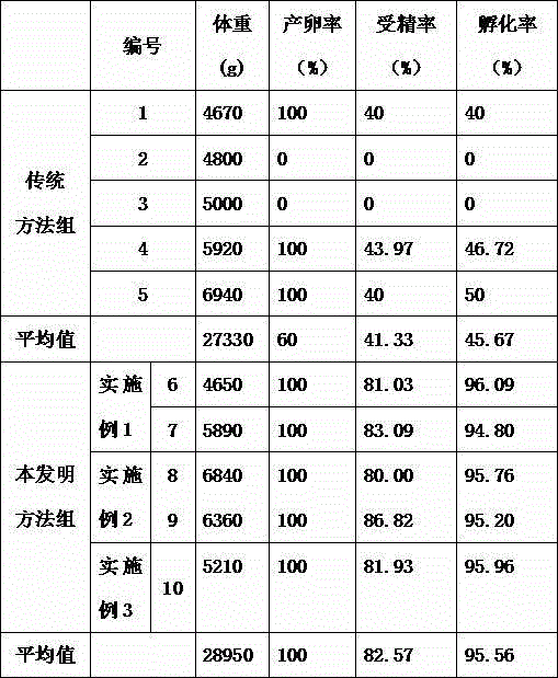 Method for promoting gonad development and increasing birth rate, fertility rate and incubation rate of giant salamanders