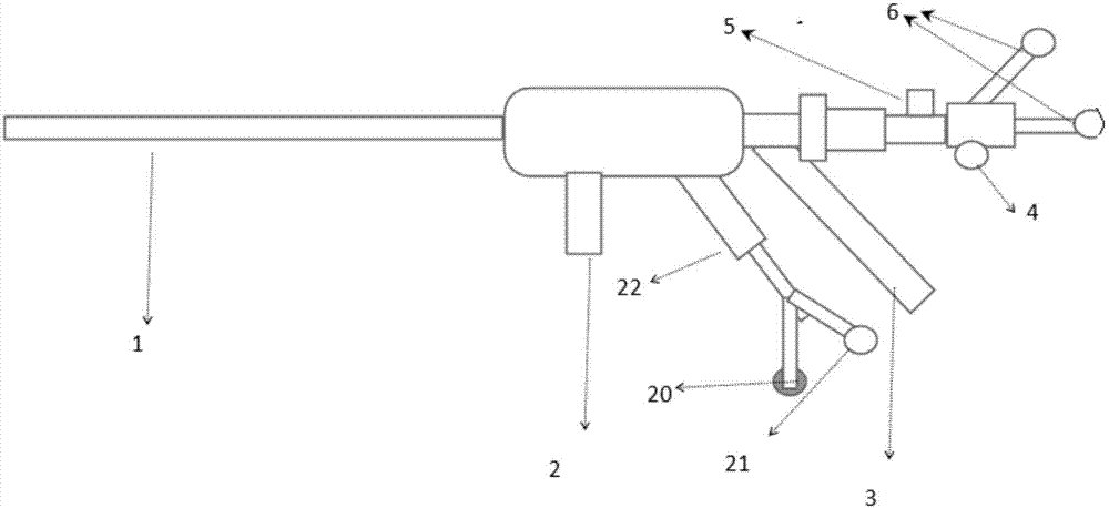 Cystoscope with living body real-time Raman spectrum detection and method