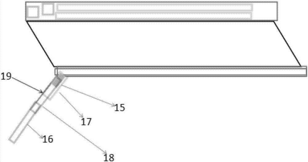 Cystoscope with living body real-time Raman spectrum detection and method